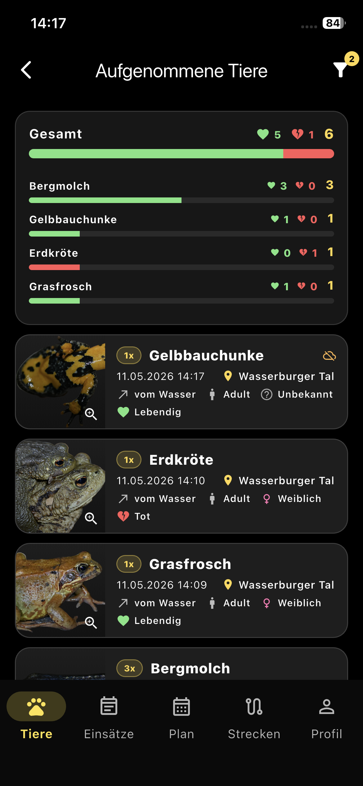 Übersicht der Tiere